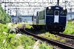 Shu・Kura新潟の地酒列車