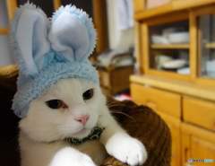 来年は何年？(笑)