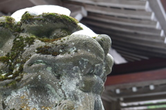長い間・・・