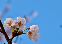 今年の思い出