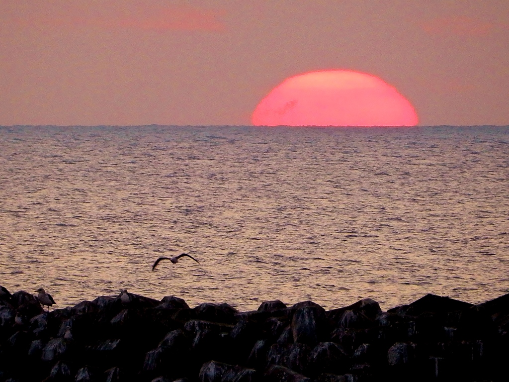 日本海の夕日