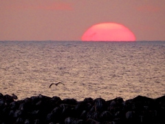 日本海の夕日