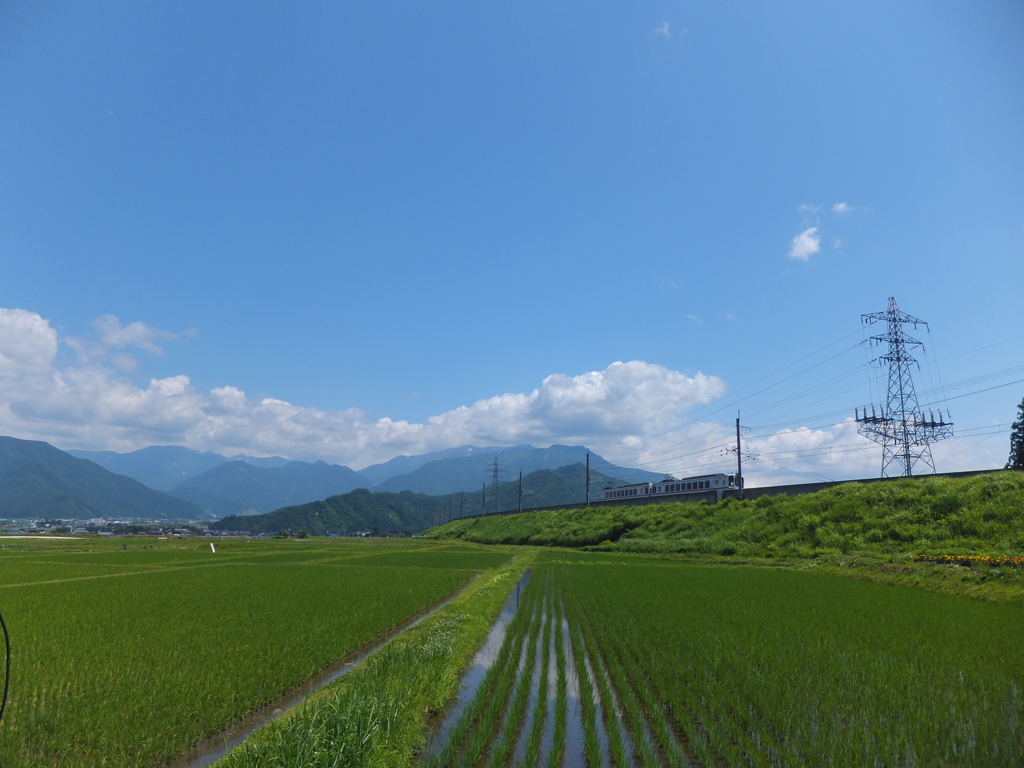六日町の初夏