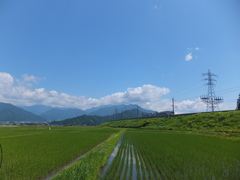 六日町の初夏