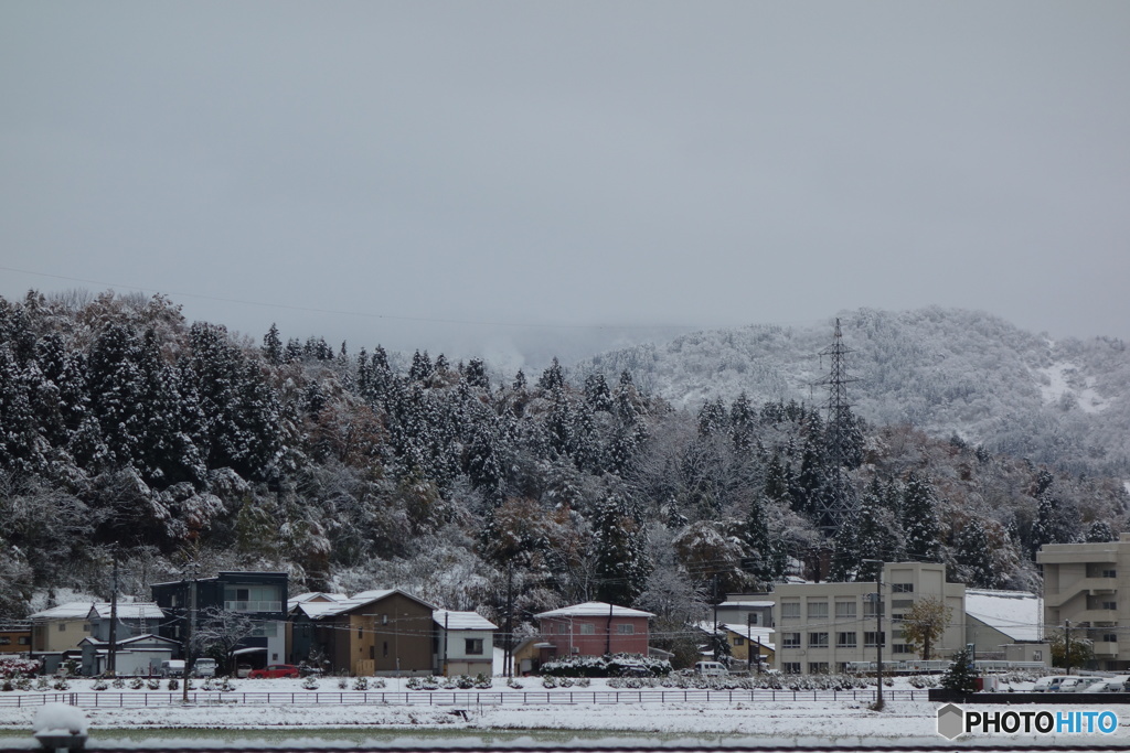 初雪