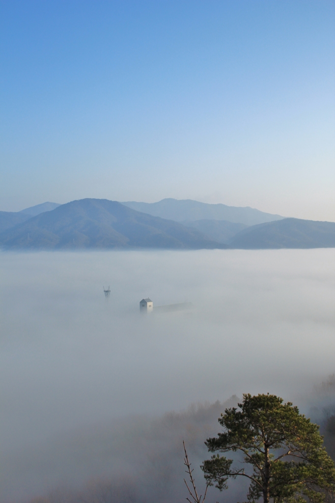 霧中初姿