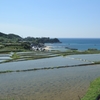 海の棚田