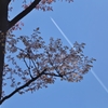 飛行機雲