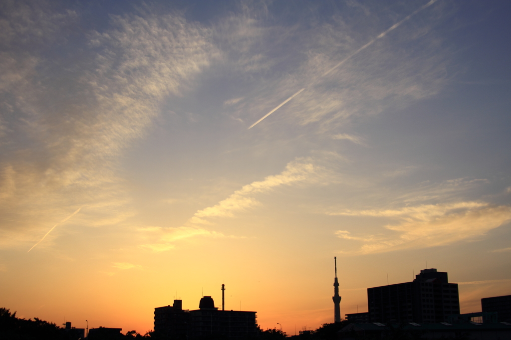 近所の夕景 スカイツリーと・・・