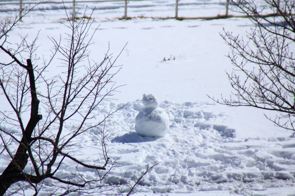 雪だるま　２号現る！！
