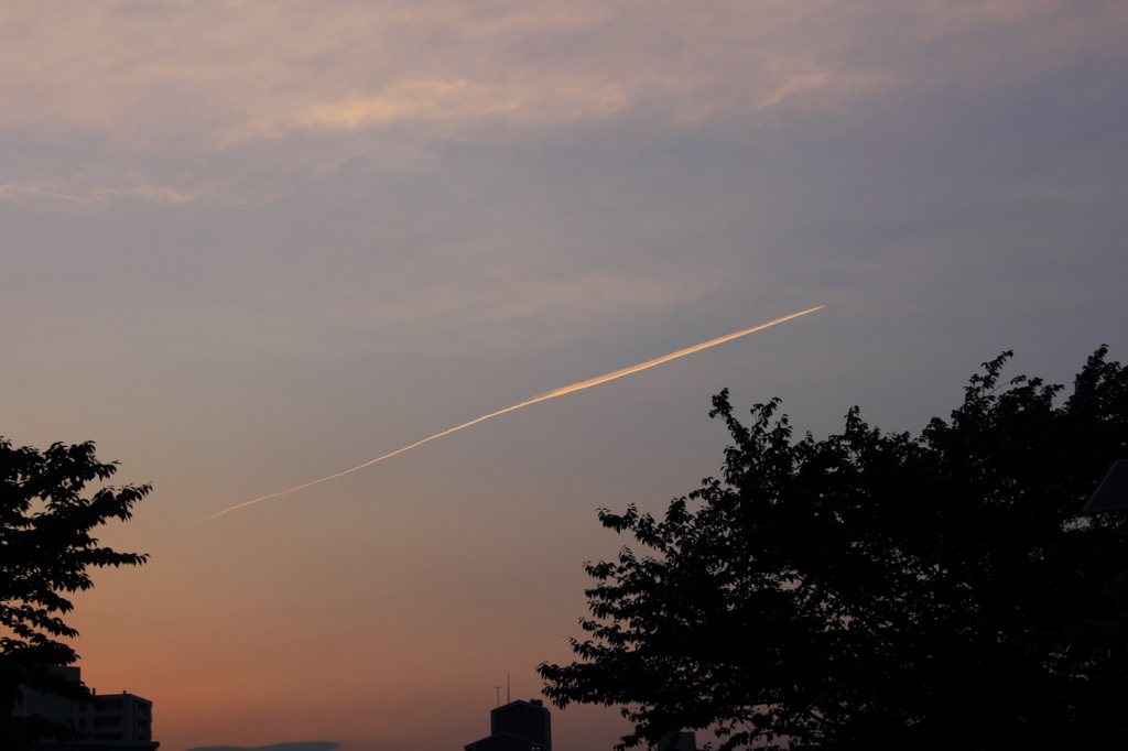 公園夕景　飛行機飛んでます　