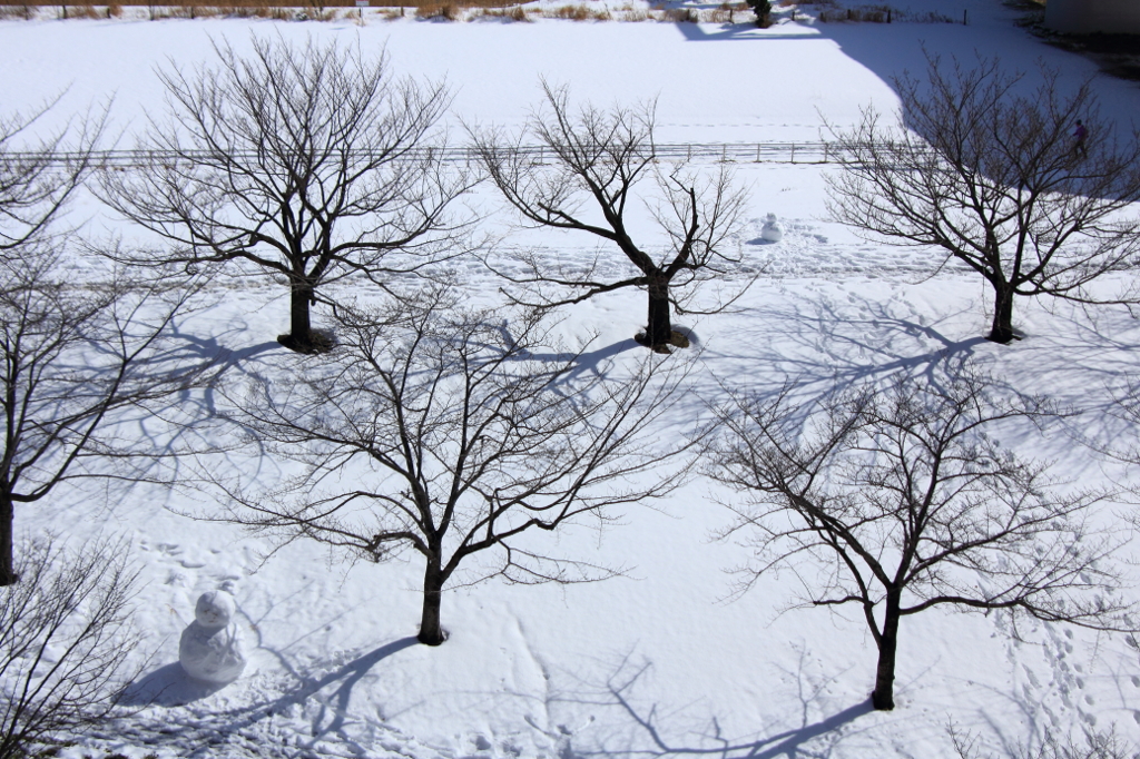 雪だるま　あれ？あんな遠くに・・・