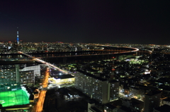 東京山脈と富士山　高さ１１５Mからの夕景＃８