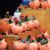 AFP売店の主役たち＃15