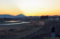 高幡橋上流で見た富士山夕景＃９