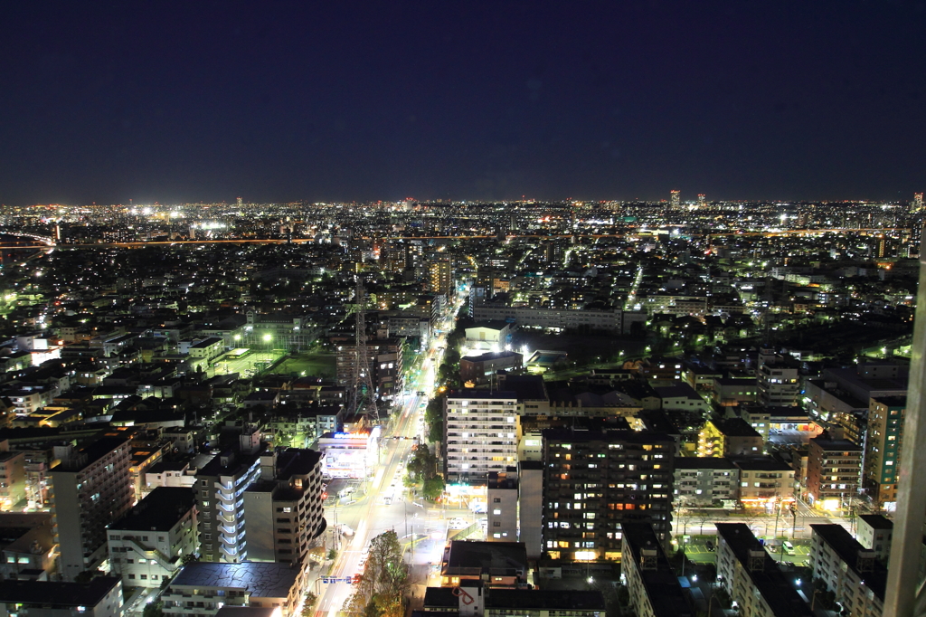 東京山脈と富士山　高さ１１５Mからの夕景＃９