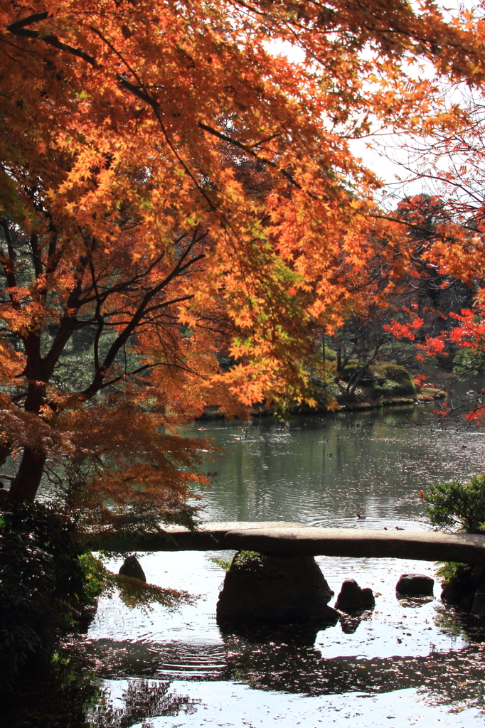 六義園にて＃40　定番で②