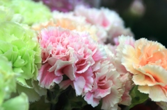 花屋さんにて