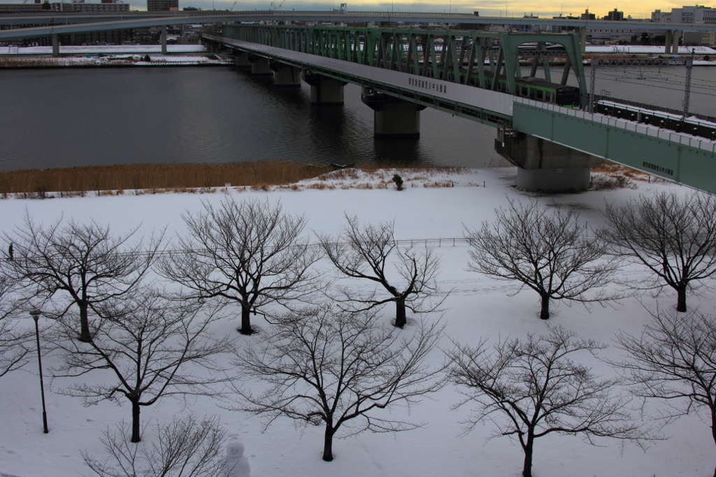 降雪状況　一夜明けて・・・　雪だるま確認