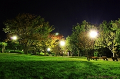 夜の公園で・・・＃4