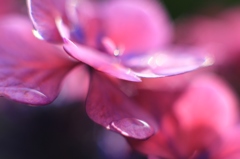 水溜り・・・