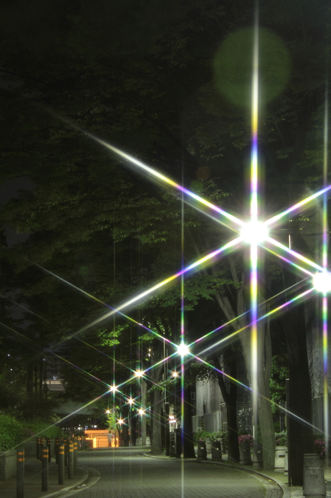 みどりの時　夜でも昼間③
