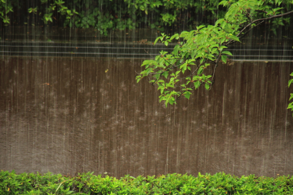 雨降り 歩道