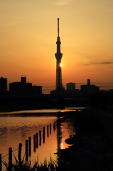 水辺夕景　スカイツリーと水面