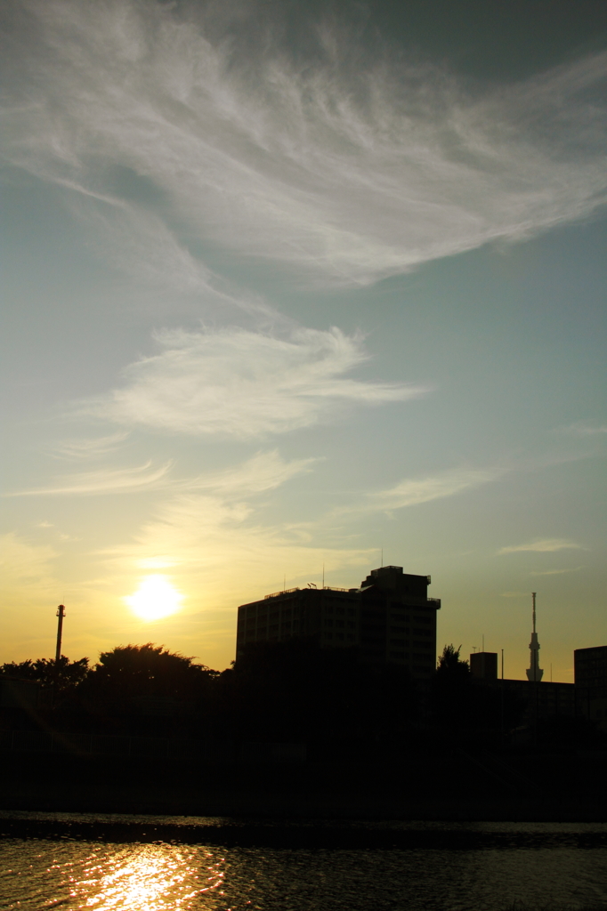いつもの所から・・・夕景