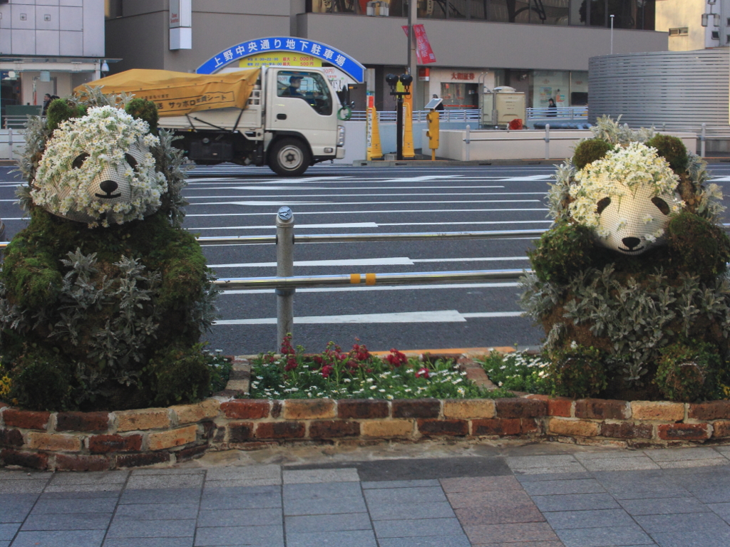 街中ユニーク 歩道に生息