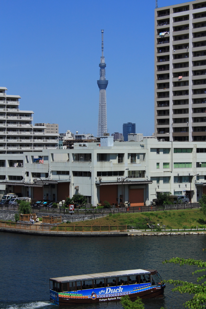 水辺風景　いつものところからST. 昼