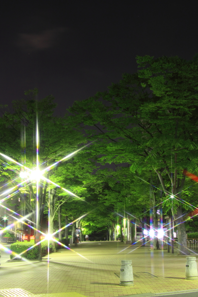 みどりの時　夜でも昼間⑤