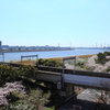 花色季節　さくら風景＃２