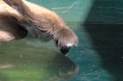 どうやって水平？