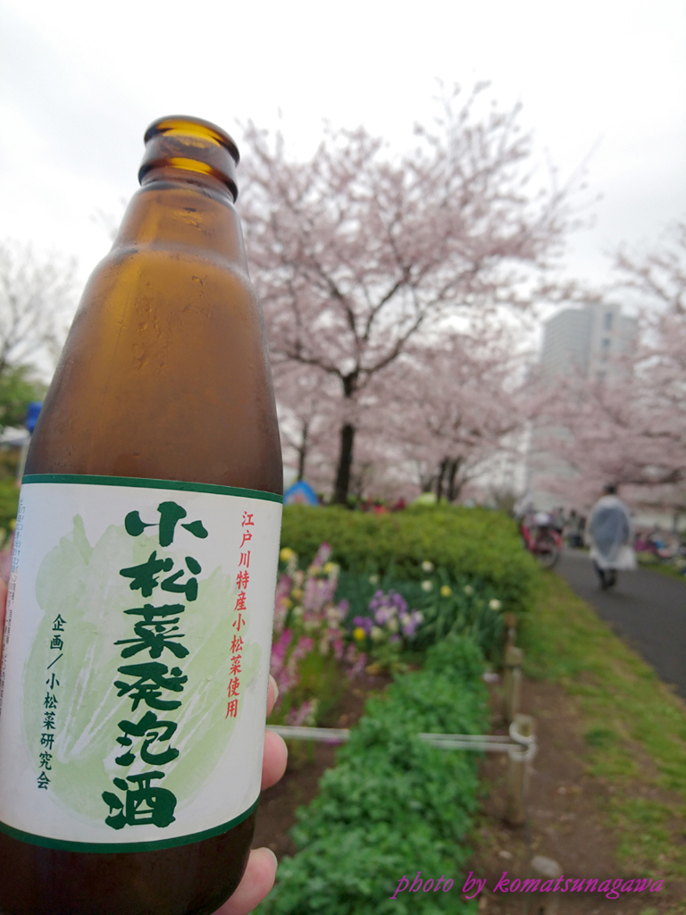小松菜川が、小松菜発泡酒を飲んだ！