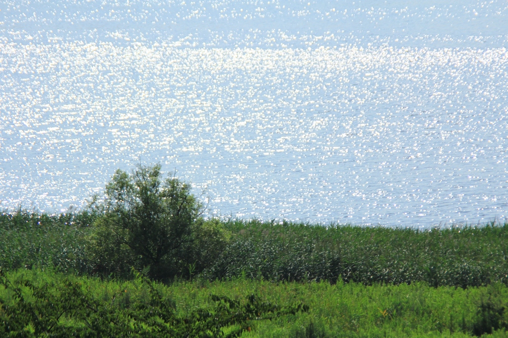 ギラギラと夏の川面