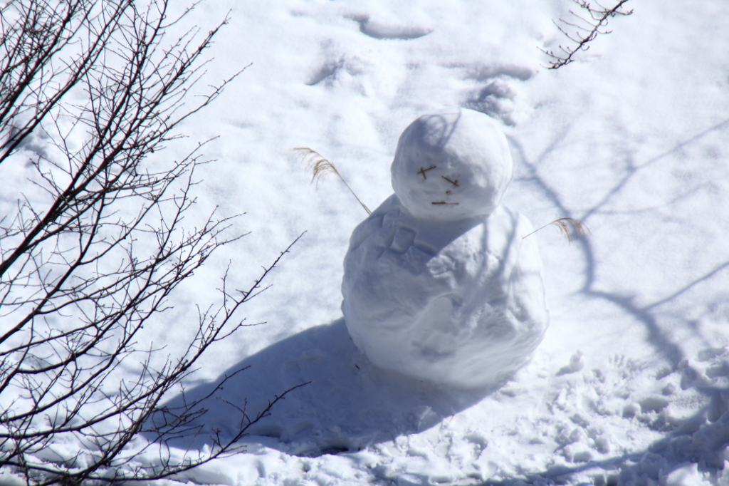 雪だるま　深夜の雪だるま名前判明！タロー　疲れてきてます。