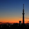 夕焼けスカイツリー＃６