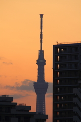 公園夕景　ST.シルエット③