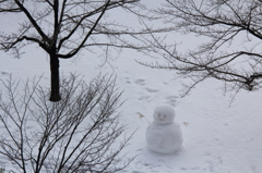 雪だるま　元気です＾＾