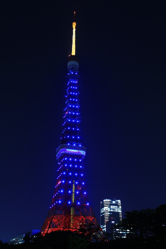 侍ブルー・応援の時・・・