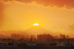 夕景 今年１月末頃の下矢切歩道橋