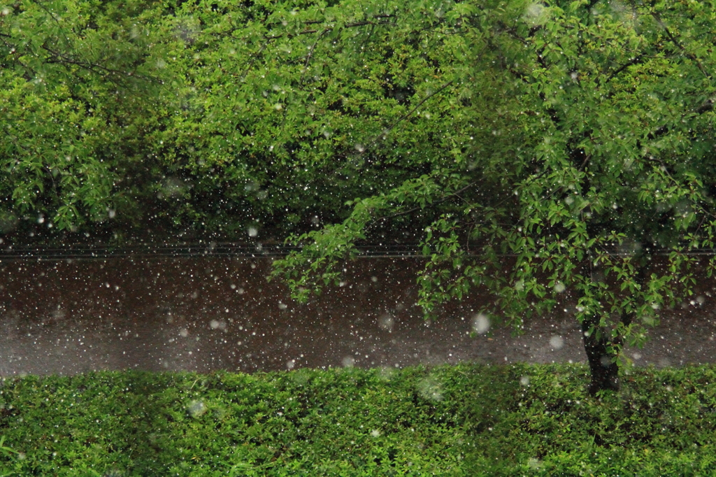雹が降る＃２