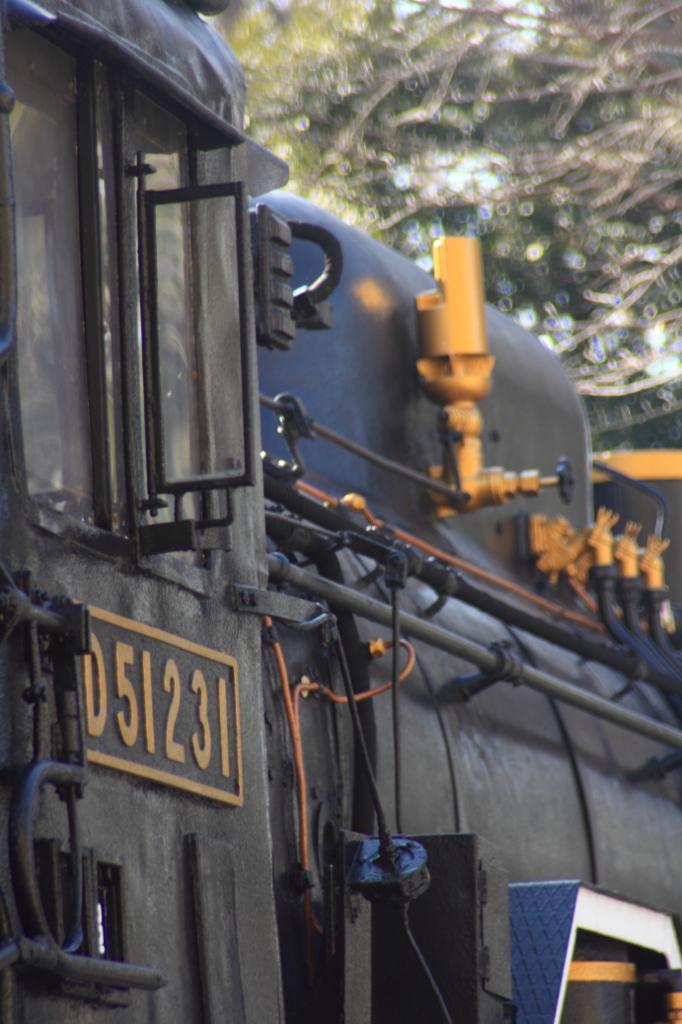 上野で機関車 博物館展示D51 ②