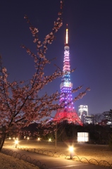 東京タワースペシャルダイヤモンドヴェール＆2020とさくら