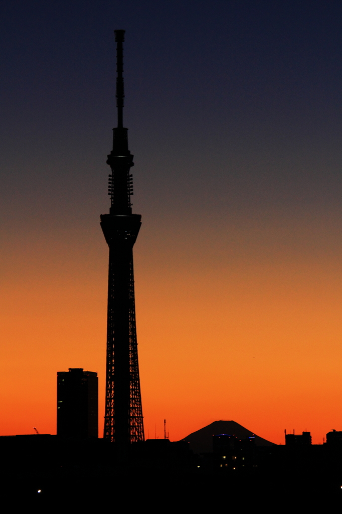 夕焼けスカイツリー＃３