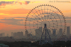 葛西臨海公園付近より　＃9