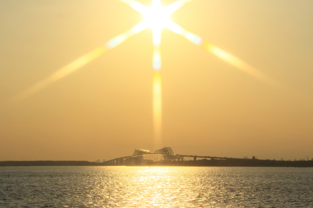 When light shines on the Tokyo Gate Brid