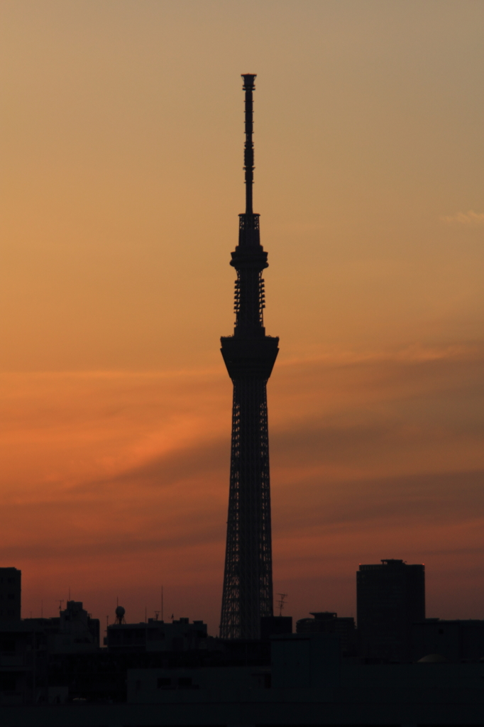 いつものとこからスカイツリー夕景