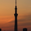 いつものとこからスカイツリー夕景